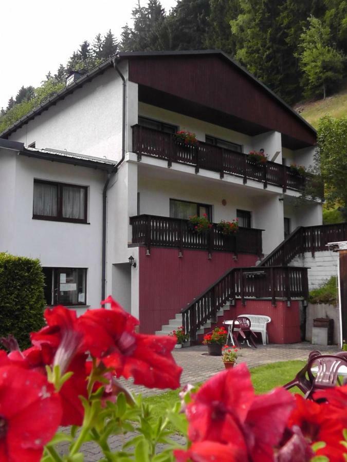 Pension Zum Ritter Katzhutte Екстериор снимка